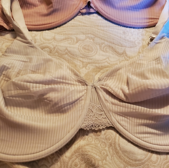 Bra - Picture 4 of 5